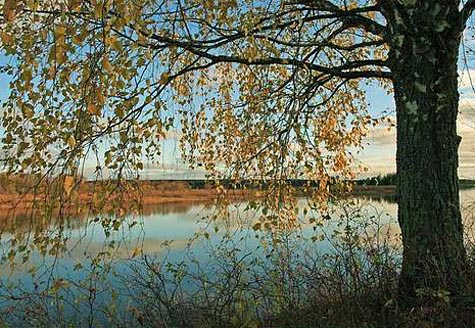 Река Сысола в районе Карнанаеля. Коми, Сыктывдинский район