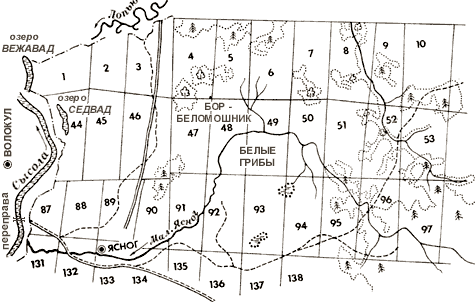 Карта Ясногских боров-беломошников с белыми грибами и брусникой