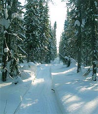 Сибиряковская зимняя дорога в наши дни