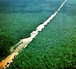 Трансамазонское шоссе. Крупнейшая магистраль Бразилии протяженностью 5,5 тысяч километров